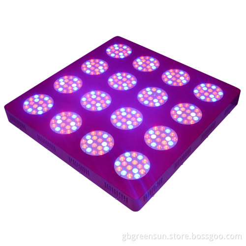 LED Grow Light with RoHS CE Certificate for Commercial 600W LED Grow Light Greenhouse Project